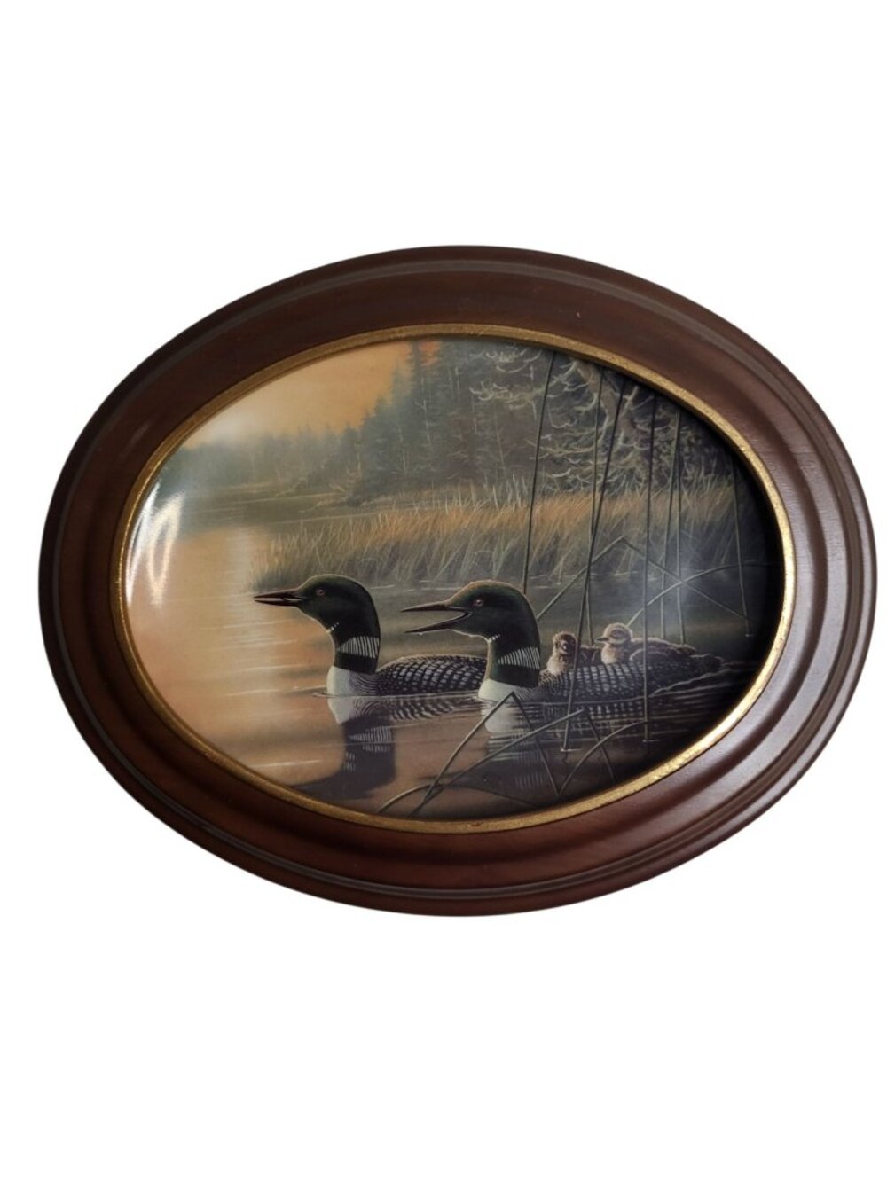 Bradford Exchange Bruce Langton LE Collector's Plate Loons "Evening Respite"